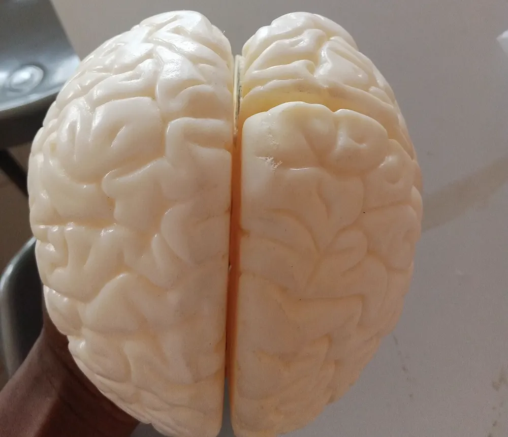 Penyebab ADHD pada Anak: Genetik, Perkembangan Otak, dan Faktor Risiko